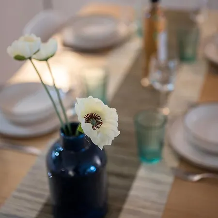 Le Marni Avec Parking Prive 公寓 芒通